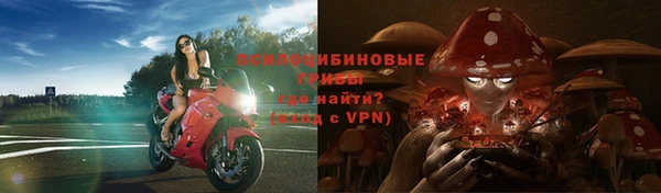соль ск Алексин