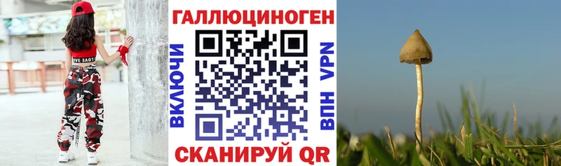 Псилоцибиновые грибы Magic Shrooms  kraken   Спасск 