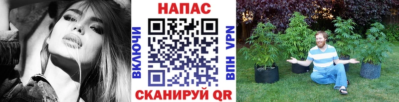 Конопля MAZAR  ссылка на мегу как зайти  Спасск 